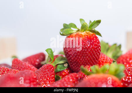 Fraise sur étalage de Marché Marseille France Banque D'Images