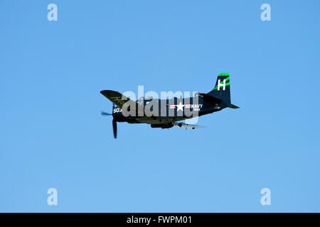 Douglas Skyraider AD-4NA dans les couleurs de la marine des États-Unis pendant son affichage à l'East Fortune Airshow 2011 Banque D'Images