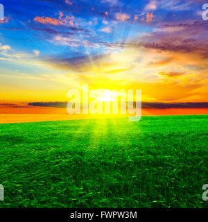 Magnifique coucher de soleil sur le champ de blé. Paysage d'été. Banque D'Images