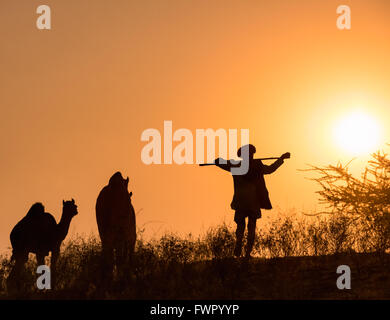 Le coucher du soleil, la silhouette d'un homme marchant avec ses chameaux, Pushkar Camel Fair, Pushkar, Rajasthan, India