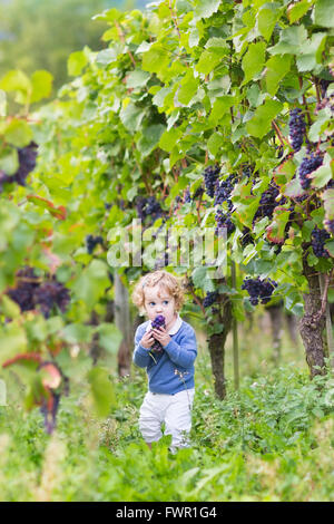 Sweet baby girl avec des cheveux bouclés jouant dans une belle cour de vigne d'automne Banque D'Images