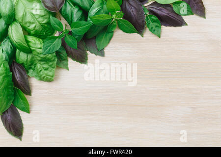 Heirloom basil sur table en bois, y compris de nombreux cultivars Genovese, Basilic sacré, épice globe. Mise à plat, vue ci-dessus Banque D'Images