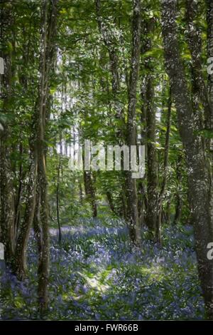 Image style de peinture de bluebell wood au printemps,avec des arbres,et les rayons de lumière Banque D'Images