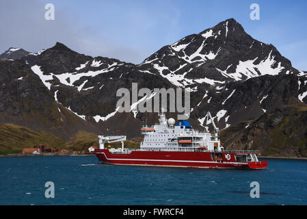 Polar de déglaçage de l'Afrique du Sud et de l'offre de navires de recherche S. A. Agulhas II ancrée dans King Edward Cove, la Géorgie du Sud. Banque D'Images