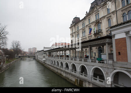 La rivière Ljubljanica à Ljubljana, Slovénie. Le Trnovski pristan remblai s'exécute par le côté de la voie navigable. Banque D'Images