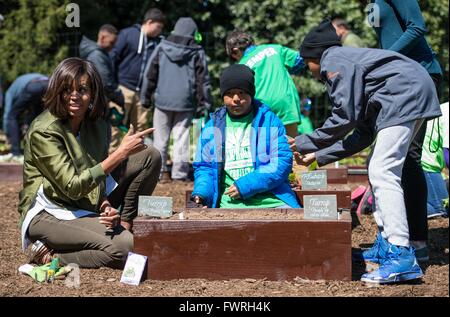 La Première Dame Michelle Obama aux États-Unis ainsi que des aides aux étudiants la Maison Blanche plantes Potager 5 Avril, 2016 à Washington, DC. Cette année, le jardin a utilisé plusieurs variétés de légumes qui ont été cultivés sur la Station spatiale internationale. Banque D'Images