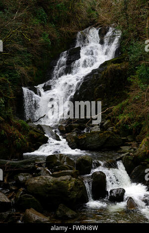 Torc Waterfall Le Parc National de Killarney Ring of Kerry Irlande Irlande RM chutes d'hiver Banque D'Images