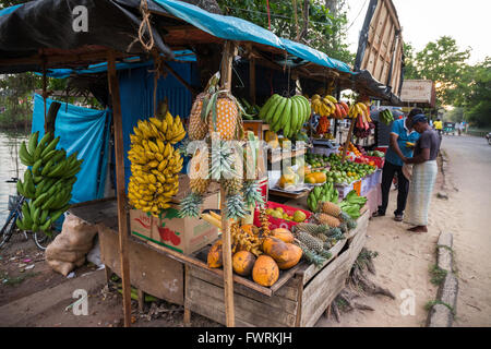 Étal de fruits frais à la rue Colombo, Sri Lanka, Asie Banque D'Images