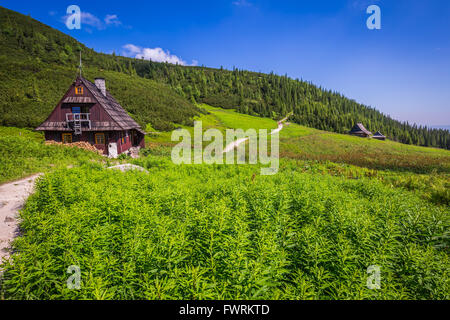 Hala Gąsienicowa(Valey Gąsienicowa) dans les montagnes Tatras à Zakopane, Pologne Banque D'Images