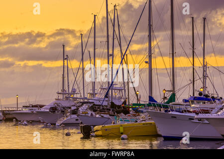 Port de Lahaina sur Maui Banque D'Images