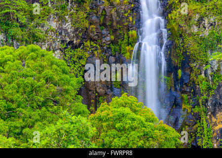 Wailua Falls le long de la route de Hana dans la forêt tropicale de Maui Banque D'Images