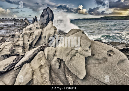 Les dents de dragons rock caractéristique, Maui Banque D'Images