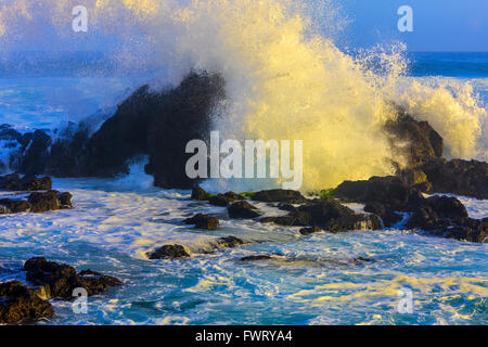 Ho'okipa Beach, Maui Banque D'Images