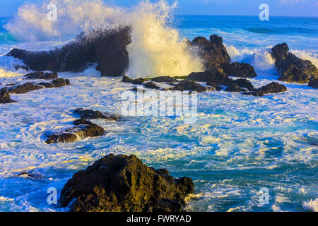 Lever d'énormes vagues se brisant sur les rochers de lave Ho'okipa Beach, Maui Banque D'Images