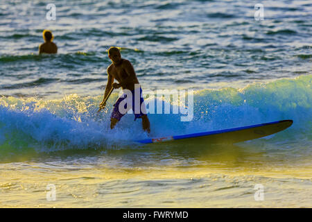 Le Stand Up Paddle Surf à Maui Banque D'Images