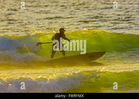 Le Stand Up Paddle Surf Maui Hawaii Banque D'Images