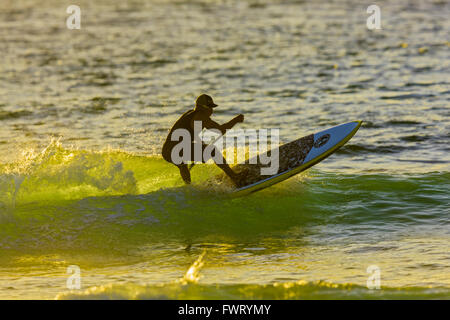 Paddlesurfing à Maui Banque D'Images