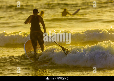 Le Stand Up Paddle Surf Maui Hawaii Banque D'Images