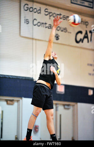 La prestation d'un joueur gagnant et pouvoir servir lors d'un match de volley-ball de l'école secondaire. USA. Banque D'Images