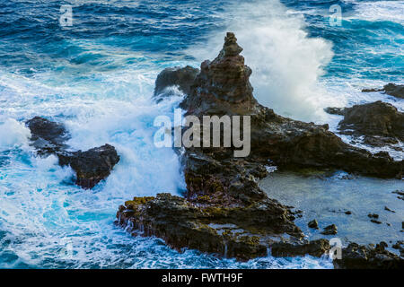 Des vagues sur la côte Nord de Maui Banque D'Images