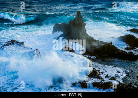 Des vagues sur la côte Nord de Maui Banque D'Images