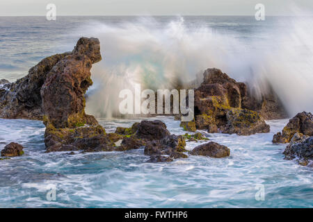 Vagues à Ho'okipa Beach Park, Maui Banque D'Images