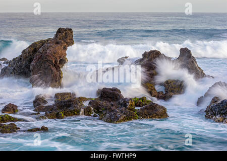 Vagues à Ho'okipa Beach Park, Maui Banque D'Images