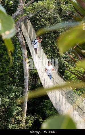 Les visiteurs ont une vue de l'oeil d'oiseaux Amazon jungle Canopy Walkway au camp de la rivière Napo Explorama Tours in Peru. Iquitos, Loreto, le Pérou. L'Amazon Canopy Walkway, un des plus longs ponts suspendus au monde, qui permettra à la forêt primaire, les animaux d'une hauteur de 37 mètres et est suspendu sur les 14 plus grands arbres de la région. Banque D'Images