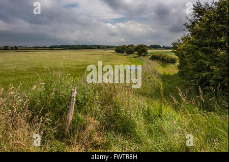 Aggleby's Road sentier près de Stalmine Lancashire Banque D'Images