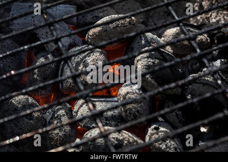 Libre d'une grille pour barbecue Banque D'Images