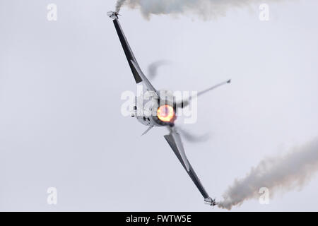 La composante aérienne belge General Dynamics F-16AM Fighting Falcon avion de combat polyvalent Banque D'Images