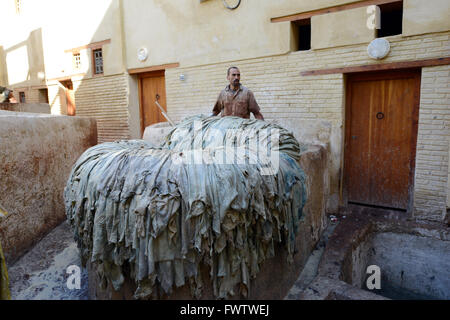 Peinture de bassins dans les tanneries de Fès, Fes, Maroc Banque D'Images