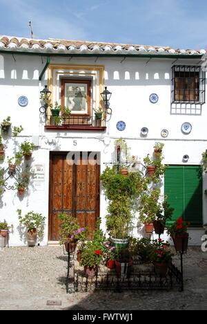 De jolies fleurs en pot sur le mur de la maison dans le quartier Barrio la Villa de Priego de Córdoba, Cordoue, Province, Andalusia, Spain. Banque D'Images