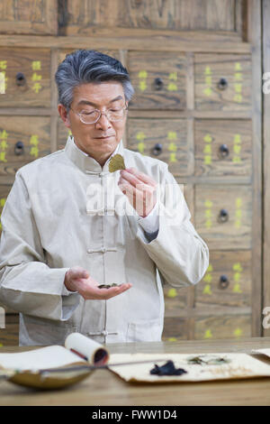 Contrôle de médecin chinois herbes médicinales Banque D'Images