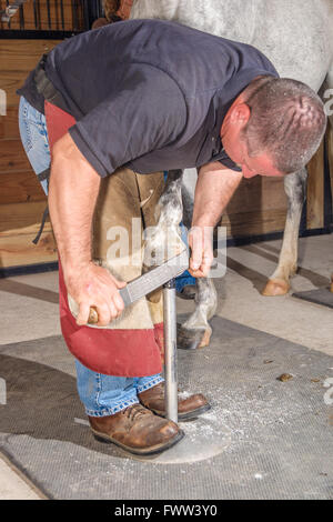 Un maréchal-ferrant FAIRE UN AJUSTEMENT SUR MESURE HORSESHOE, Delaware, Etats-Unis - mai 2008. Un maréchal-ferrant est un spécialiste en soins des sabots du cheval, y compris la Banque D'Images