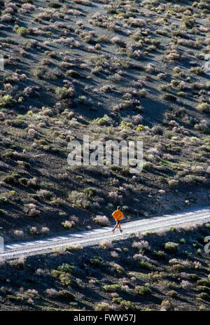 Fit young male athlete Trail Runner dans la Sierra Nevada, en Californie, foothills Banque D'Images