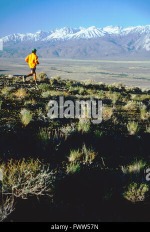 Fit young male athlete Trail Runner dans la Sierra Nevada, en Californie, foothills Banque D'Images