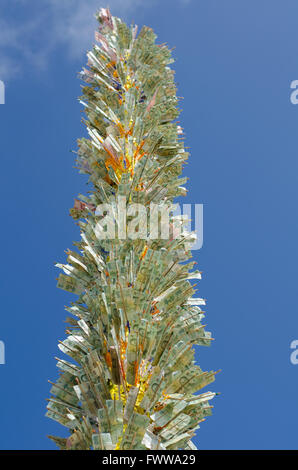 Arbre d'argent sur fond de ciel bleu bouddhiste Banque D'Images