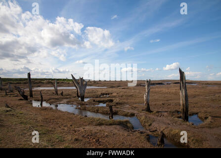 Thornham marais West Norfolk Banque D'Images