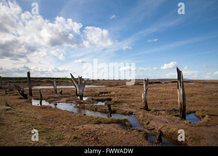 Thornham marais West Norfolk Banque D'Images