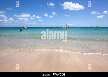 Les véliplanchistes dans les eaux turquoise de la Playa Risco del Paso plage, Playa de Jandia, Fuerteventura, Sotavento Banque D'Images