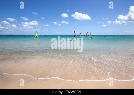 Les véliplanchistes dans les eaux turquoise de la Playa Risco del Paso plage, Playa de Jandia, Fuerteventura, Sotavento Banque D'Images