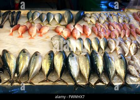 Assortiment de poissons frais est offert dans un marché en plein air Banque D'Images