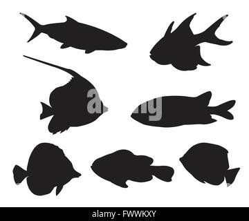 Jeu de silhouettes de poissons sur le fond blanc Illustration de Vecteur