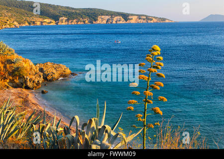 Paysage de la côte rocheuse de l'île de Vis en Croatie Banque D'Images