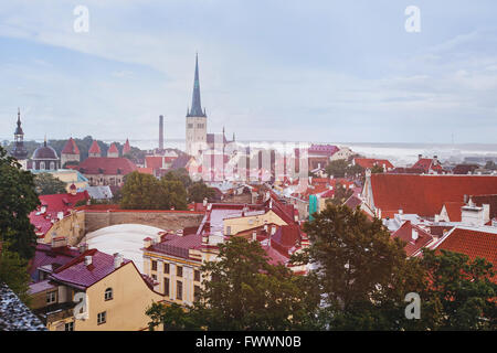 La ville de Tallinn, Estonie, belle architecture ancienne Banque D'Images
