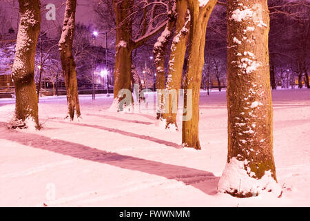 La neige couverte d'arbres à Meadow Park Edimbourg Photos par Pako Mera Banque D'Images