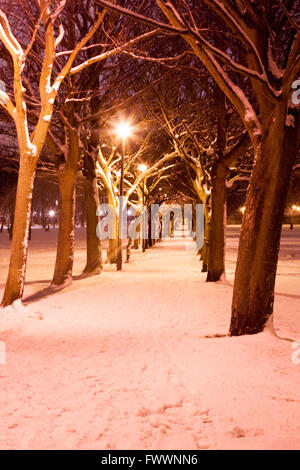 Un chemin à Édimbourg Meadow Park couvert de neige. Photos par Pako Mera Banque D'Images