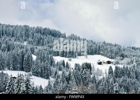 Alpes, paysage d'hiver, les maisons en bois et de la forêt enneigée dans les montagnes Banque D'Images