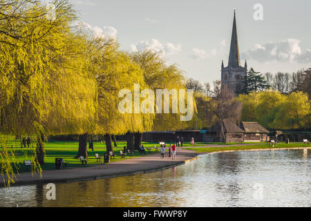 River Stratford Upon Avon, vue au printemps de la rivière bordée de saules et du terrain de loisirs dans le centre de Stratford Upon Avon, Angleterre, Royaume-Uni Banque D'Images